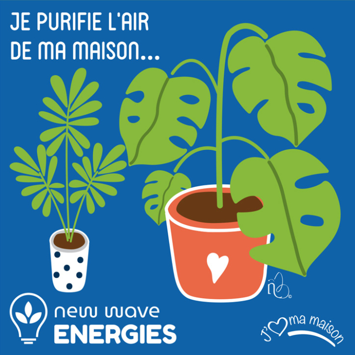 Nathalie buisson graphiste illustratrice à limoges, dessinatrice, illustrateur, dessinateur, ilustration